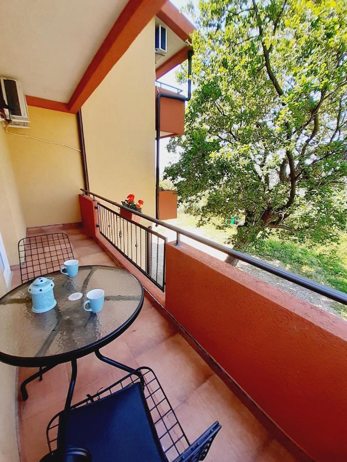 Apartment Macic Dub I Kotor Luaran gambar